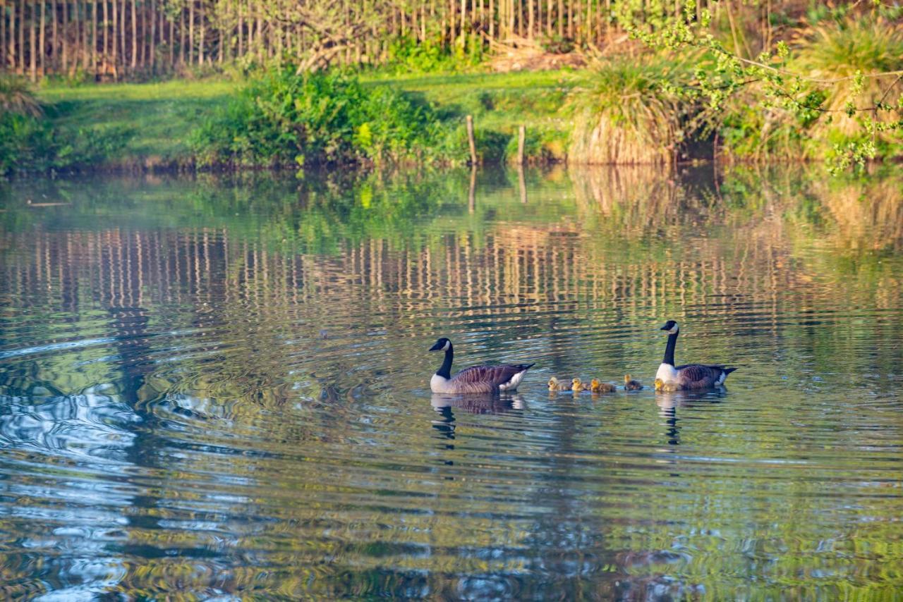 Beautiful Willow Lodge 67-4-6 Persons-Private Hot Tub-Pet Friendly-Tranquil Holiday Away From It All Yet Not Far To St Austell-The Holiday Home Has Two Bedrooms, Living & Dining Area, Equipped Kitchen -Decking-Al Fresco Dining-Fishing Lakes-Pet FrienGrampound エクステリア 写真