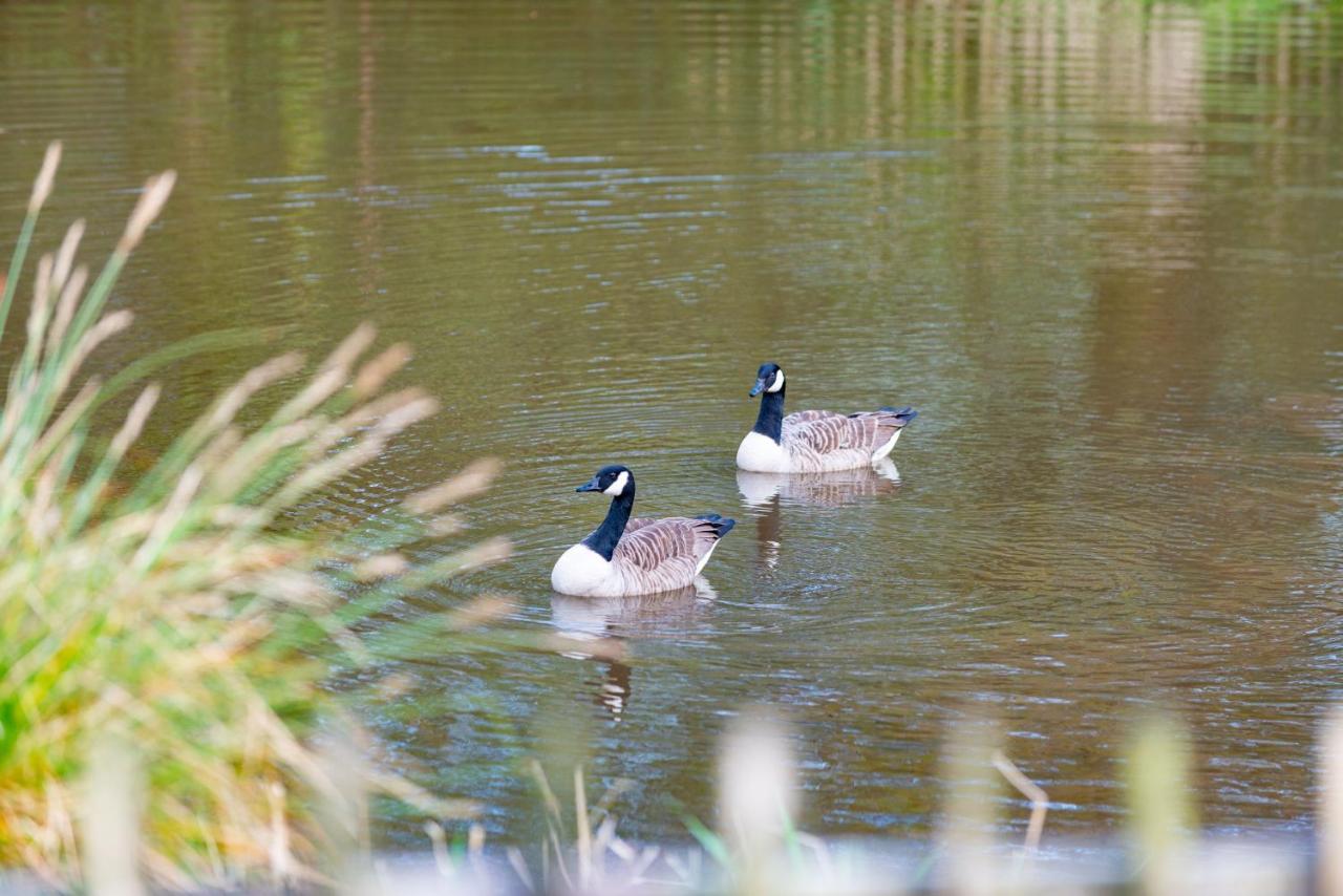 Beautiful Willow Lodge 67-4-6 Persons-Private Hot Tub-Pet Friendly-Tranquil Holiday Away From It All Yet Not Far To St Austell-The Holiday Home Has Two Bedrooms, Living & Dining Area, Equipped Kitchen -Decking-Al Fresco Dining-Fishing Lakes-Pet FrienGrampound エクステリア 写真